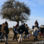 Un grupo de migrantes camina tras cruzar la frontera de Macedonia a Serbia, cerca del pueblo de Miratovac, el 25 de enero de 2016. AFP / Armend Nimani